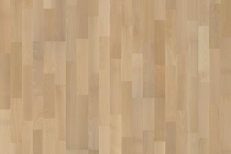 Бук Хеллеруп